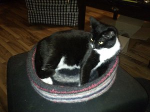 2012-12-20 20.31.34.JPG