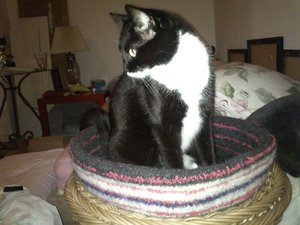 2012-12-20 20.34.14.JPG