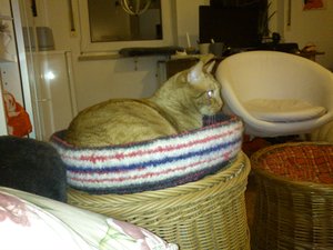 2012-12-21 00.36.25.JPG