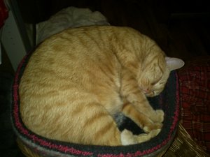 2012-12-21 01.11.53.JPG