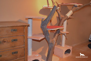 Katzenkratzbaum-4.jpg