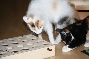 Ikea Cats Box 2.jpg