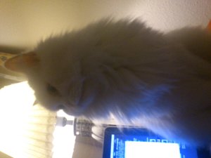 2012-12-31 01.36.37.JPG