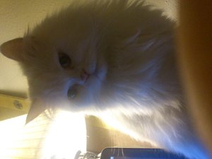 2012-12-31 01.37.36.JPG