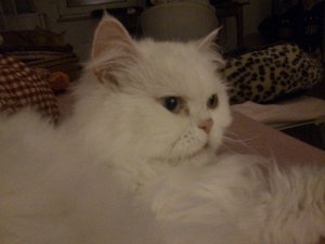 2012-12-31 02.10.58.JPG