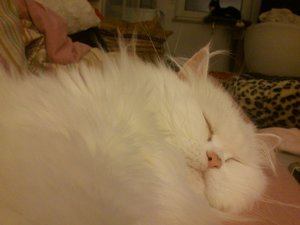 2012-12-31 02.22.50.JPG