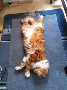 ImageUploadedByTapatalk HD1357084889.869354.jpg