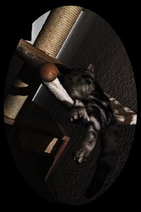 2013-01-04 21.33.21.jpg