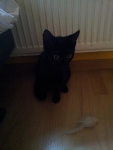 2013-01-06 15.35.14.jpg