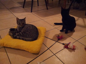 2013-01-07 17.57.03.jpg