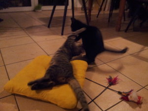 2013-01-07 17.57.13.jpg