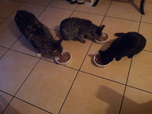 2013-01-07 16.28.42.jpg