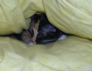 Momo Jan 2013.3.komp.JPG