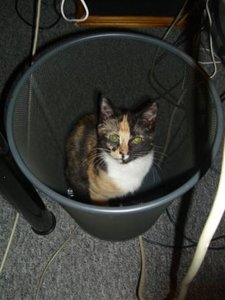 Momo Jan 2013.8.komp.JPG