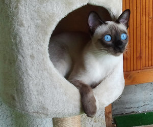 2012-09-23 14.58.05.jpg