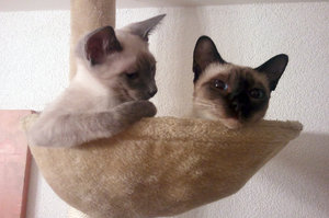 2012-07-22 00.23.03.jpg