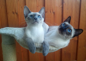 2012-08-15 18.49.08.jpg