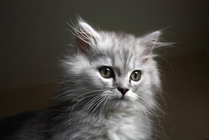 Kopie von IMG_5915.JPG