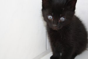 Meine Babiis 017.jpg