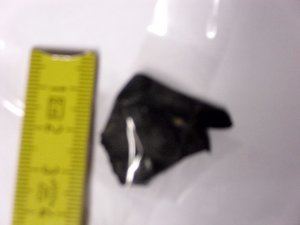 Minki, Bonny und Berry 049.jpg