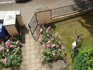 fotoleermachen 161.jpg