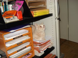 fotoleermachen 079.jpg