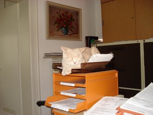 fotoleermachen 155.jpg