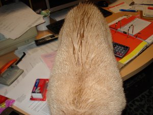 fotoleermachen 042.jpg