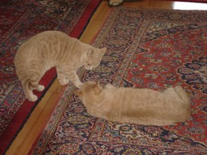 fotoleermachen 174.jpg