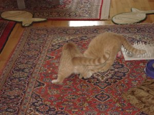 fotoleermachen 176.jpg