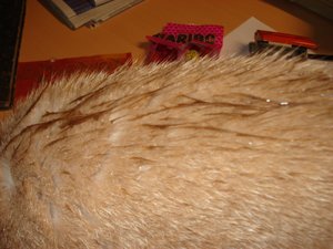 fotoleermachen 043.jpg