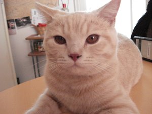 fotoleermachen 076.jpg