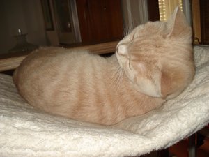 fotoleermachen 113.jpg