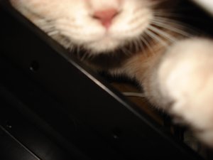 fotoleermachen 153.jpg