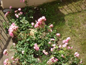 fotoleermachen 162.jpg