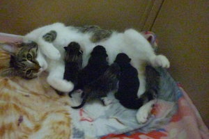 Babys erster Tag 012.jpg