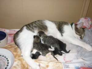 Babys erster Tag 039.jpg