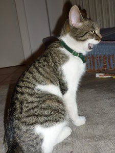 mit Vanda an der Ems- Pfingsten 2010 022.jpg