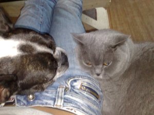 Cheyenne und Kimmi.jpg