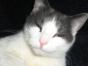 Minki, Bonny und Berry 078.jpg