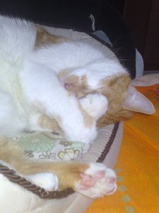 DSC00191 - Kopie.JPG