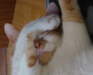 Mach das Licht aus - Kopie.JPG