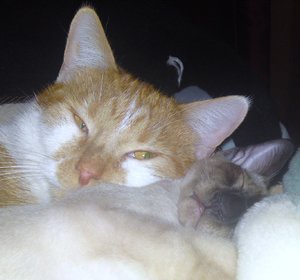 DSC00194 - Kopie.JPG