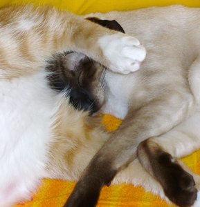 P1000409 - Kopie.jpg