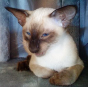 lass mich in Ruhe... - Kopie.JPG