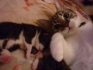 Jetzt sind wir eine Woche alt 007.jpg