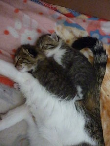 Jetzt sind wir eine Woche alt 010.jpg