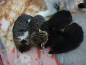 Jetzt sind wir eine Woche alt 020.jpg