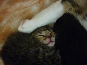 Jetzt sind wir eine Woche alt 021.jpg