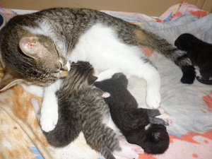 Jetzt sind wir eine Woche alt 035.jpg